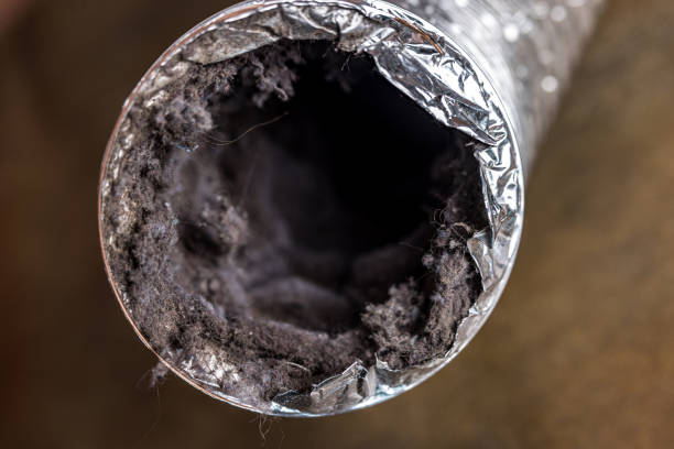Best Air Duct Cleaning Company Near Me  in Hamburg, PA